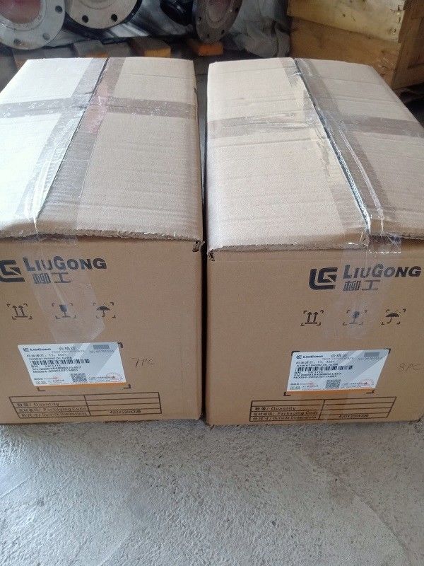 Vervoer volgens de eisen van de klant originele kleur motor oliefilter 53C1233 voor Liugong industrie