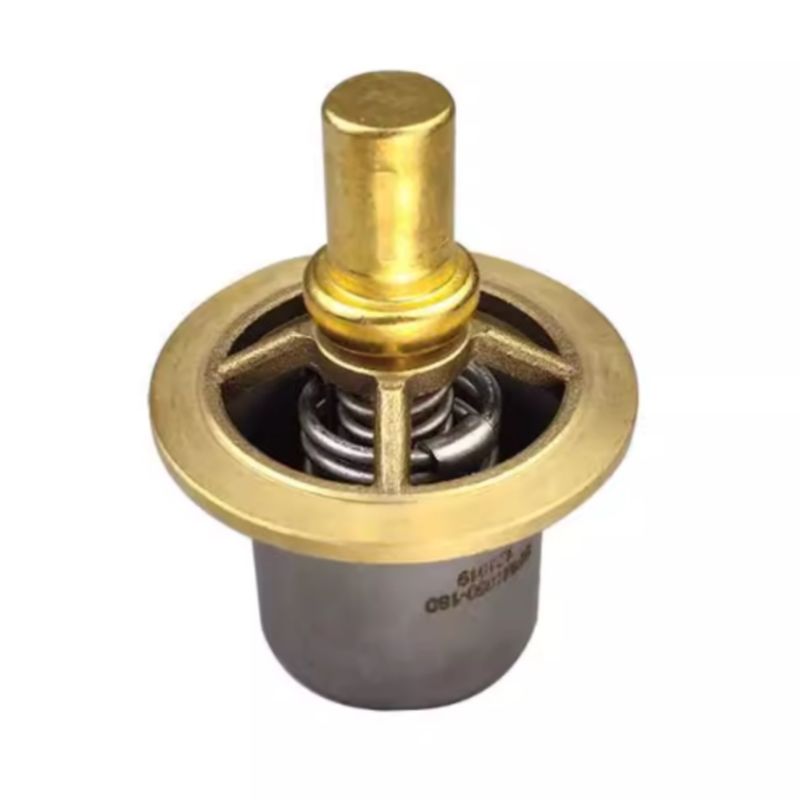 Ingersoll Rand originele kwaliteit onderdelen 22125231 39437645 37952389 Klepkern