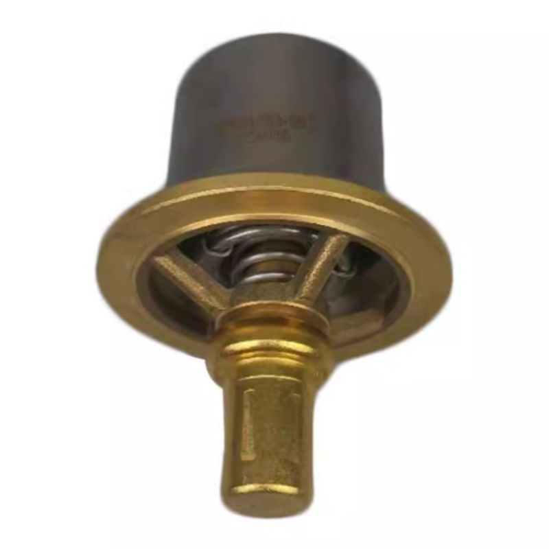 Ingersoll Rand originele kwaliteit onderdelen 22125231 39437645 37952389 Klepkern