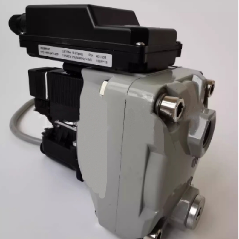 Atlas Copco Luchtcompressor Originele Kwaliteit Onderdelen 29011465511 EWD330M Uitlaatklep